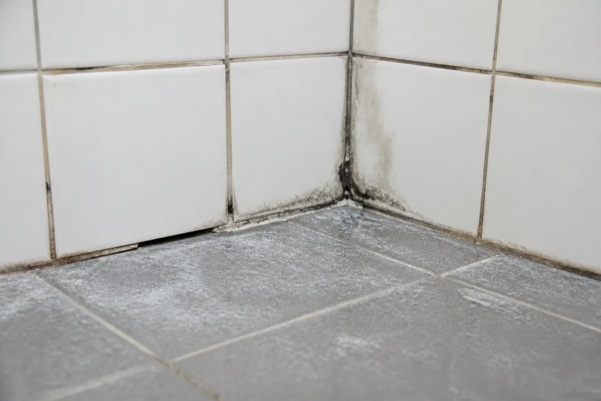 Bas de paroi de douche carrelée avec joint noirci et carreau descellé dans une salle d&rsquo;eau ancienne